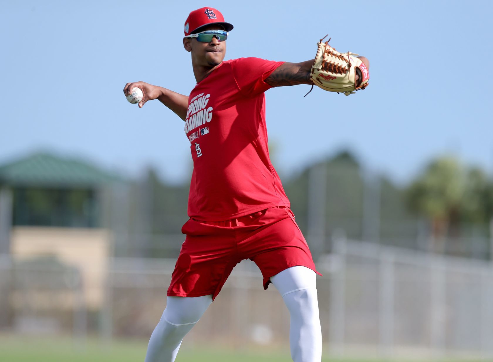 Cardinals spring training